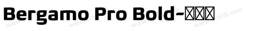 Bergamo Pro Bold字体转换